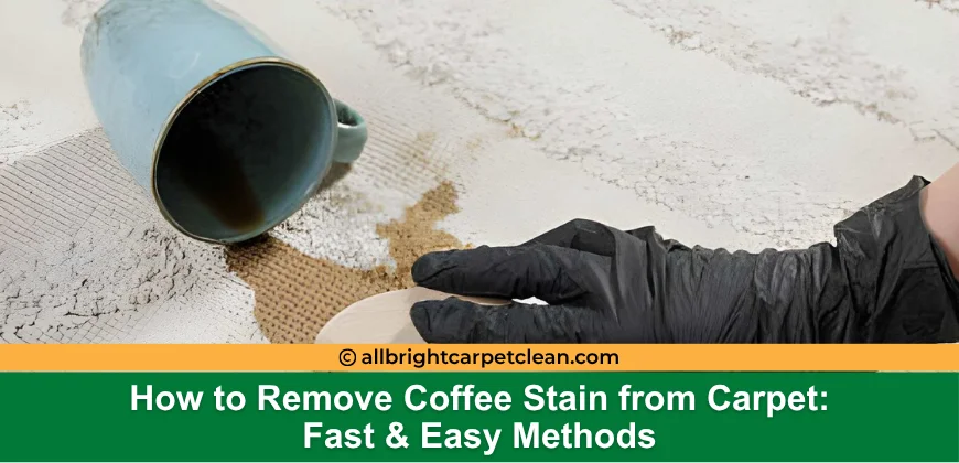 How to Remove Coffee Stain from Carpet: Fast & Easy Methods