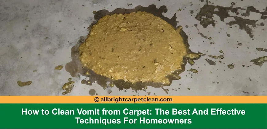 How to Clean Vomit from Carpet: The Best And Effective Techniques For Homeowners