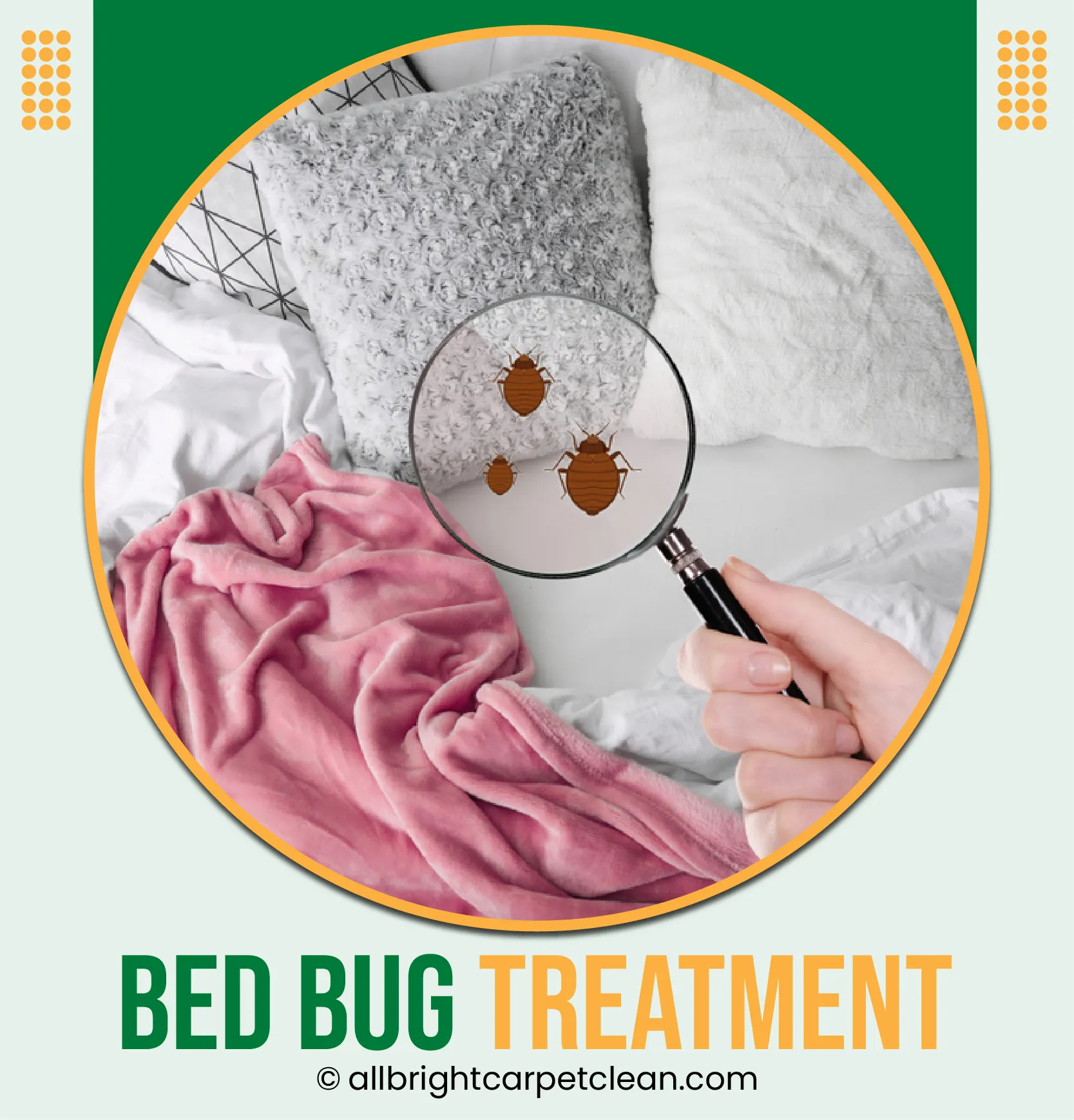 Bed Bug Treatment