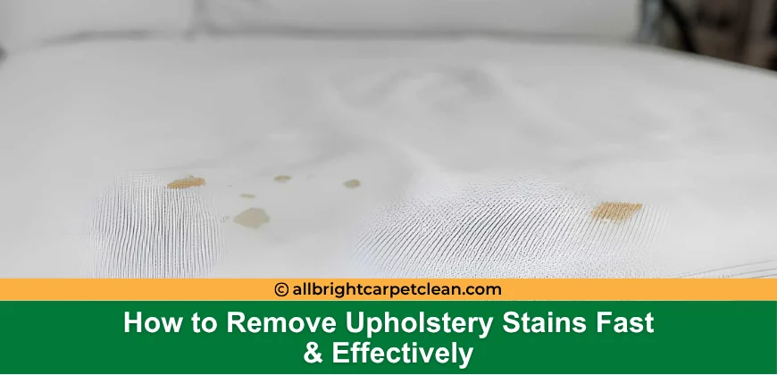 How to Remove Upholstery Stains Fast & Effectively